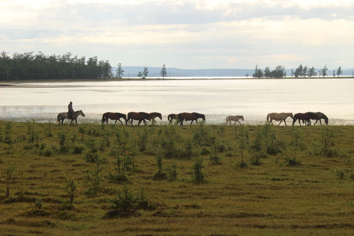 Llui era un italiano 