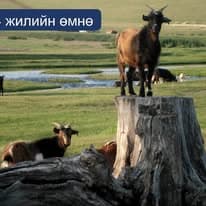 Gobi-Orkhon Valley