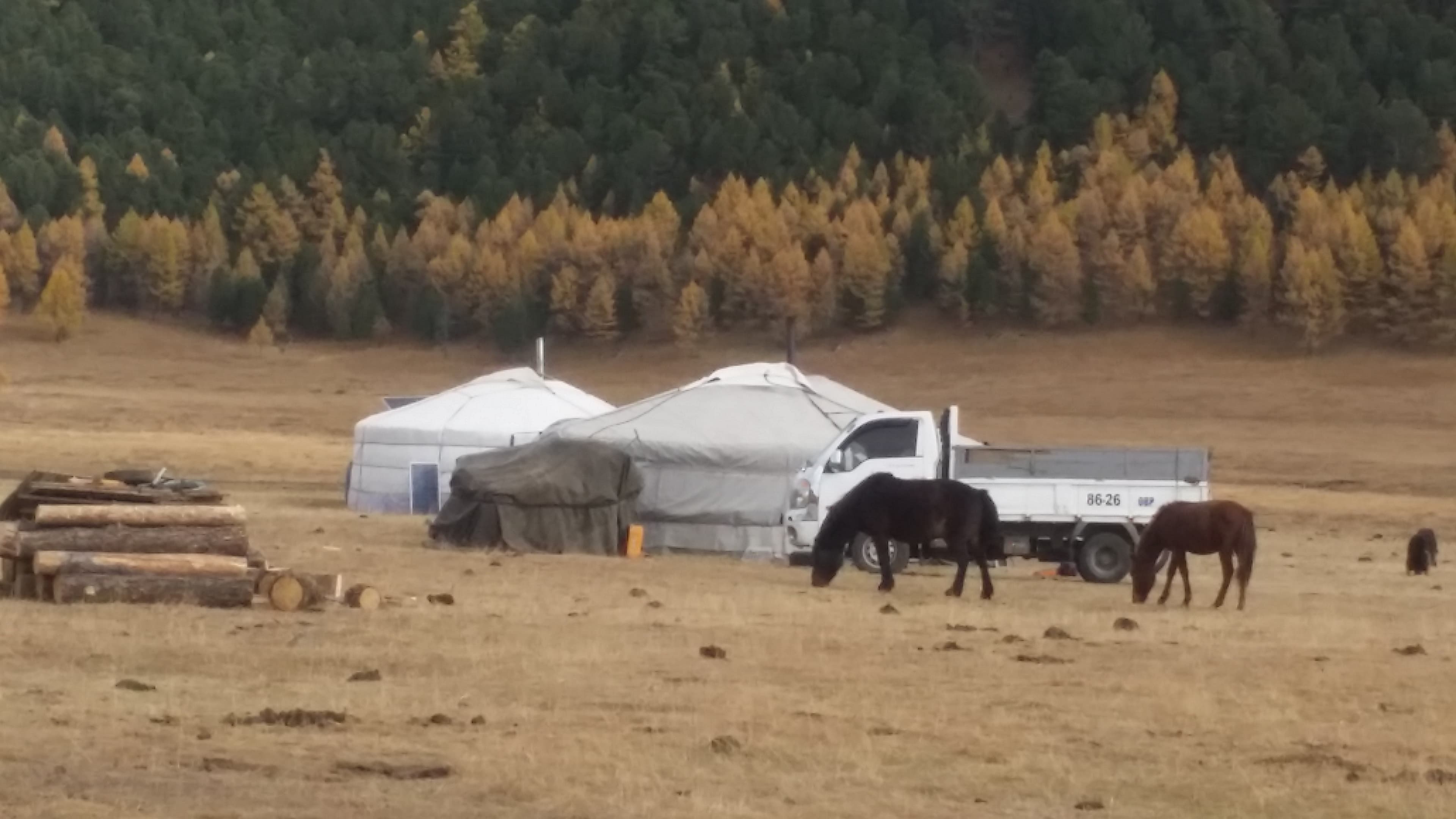 no.22 / Trip to western Mongolia and Huvsgul Lake