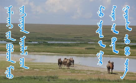 no.21 / Trip to Eastern Mongolia