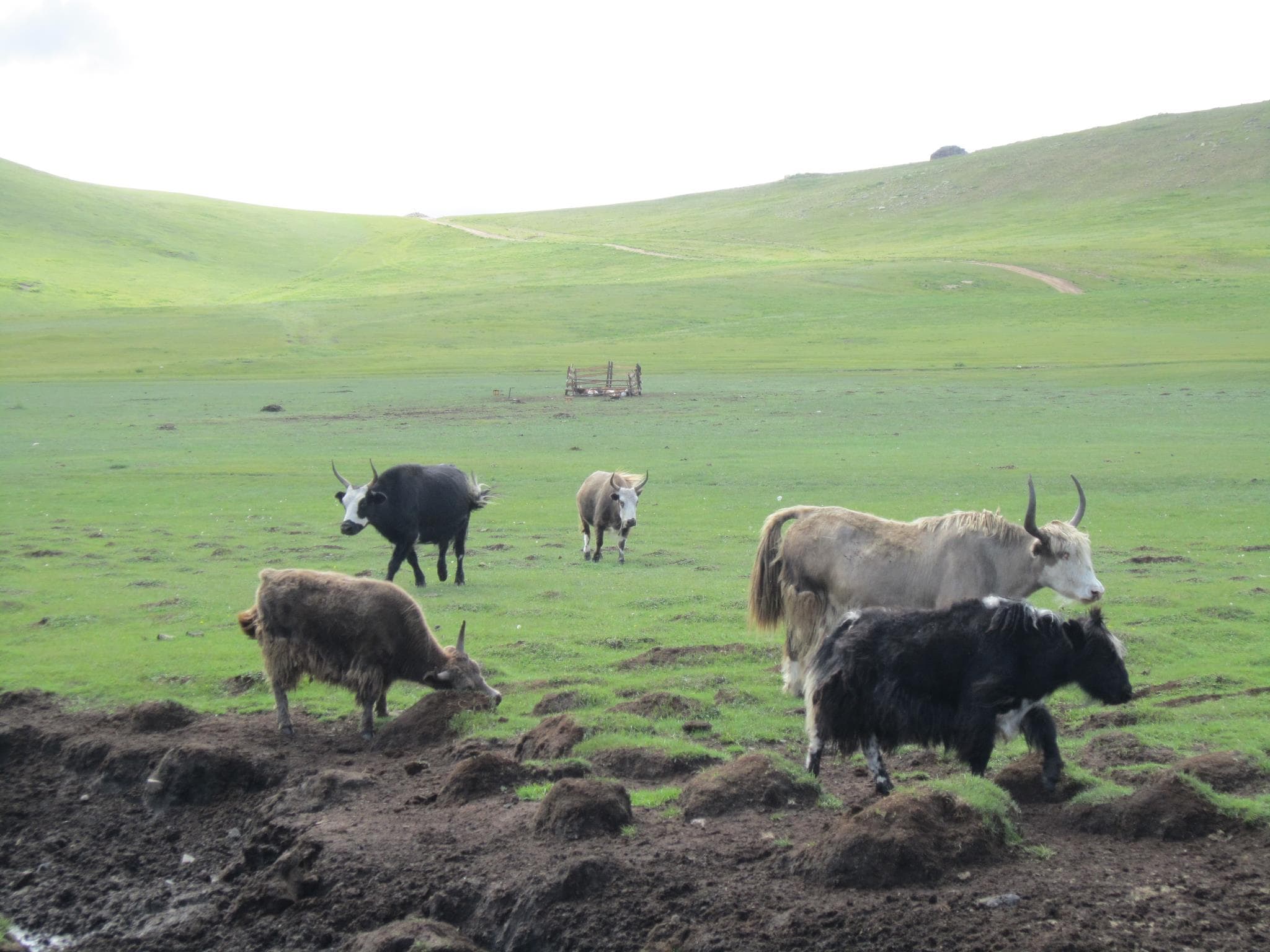 no.15 / Gobi-Ikh Bogd Mountain-Naiman Nuur