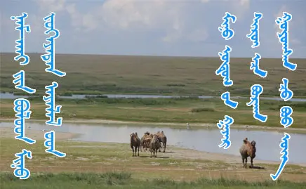 no.20 / Trip to Eastern Mongolia
